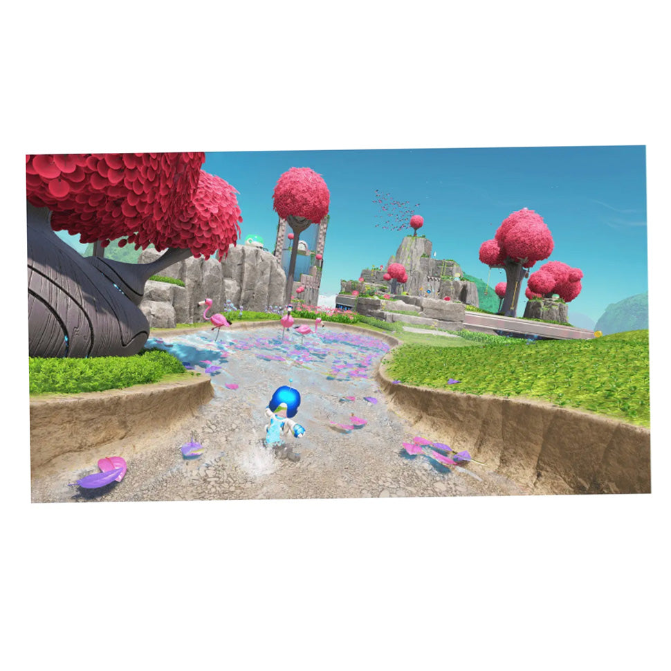 Astro Bot Juego Fisico Ps5