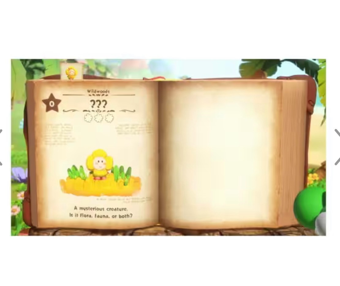 Yoshi And The Mysterious Book Swicth 2 Juego Fisico