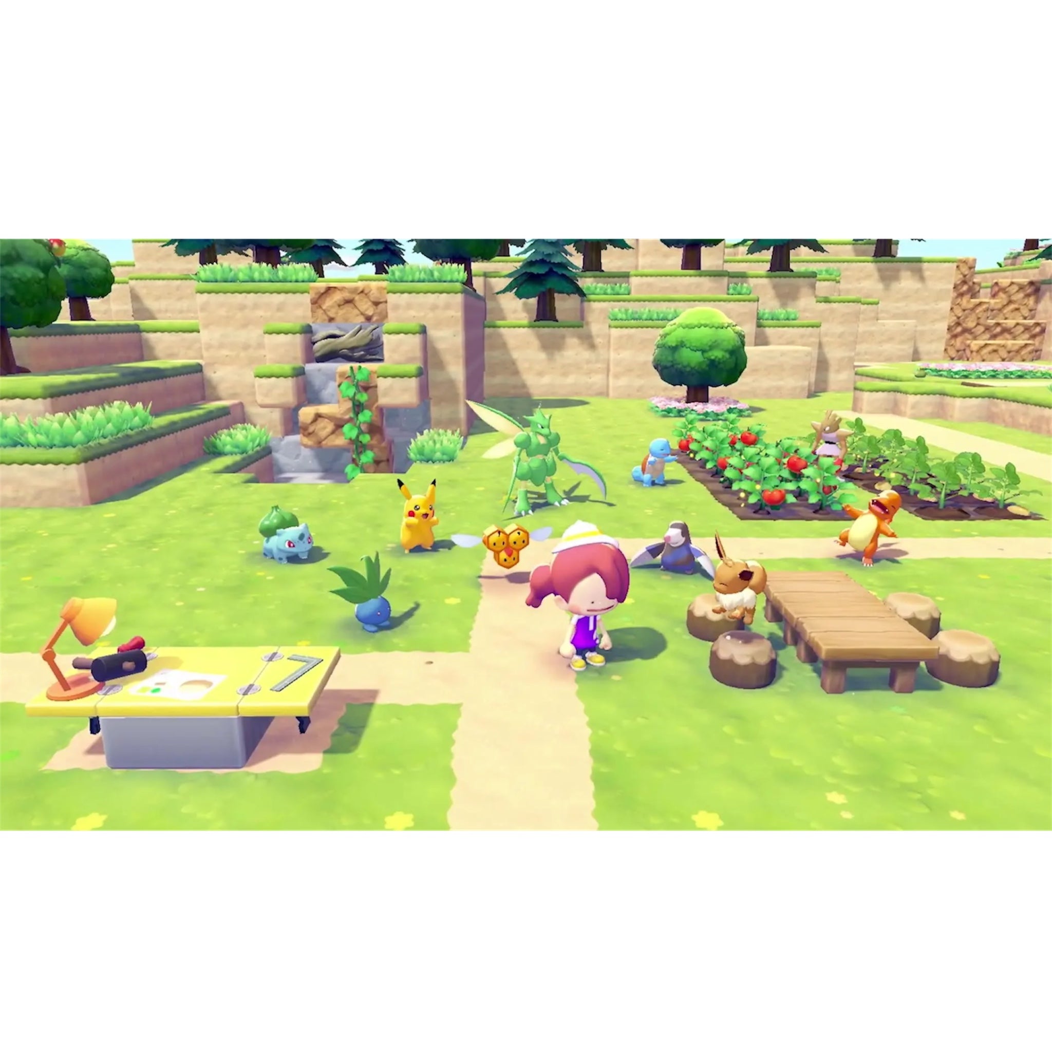 Pokémon Pokopia Switch 2 Fisico
