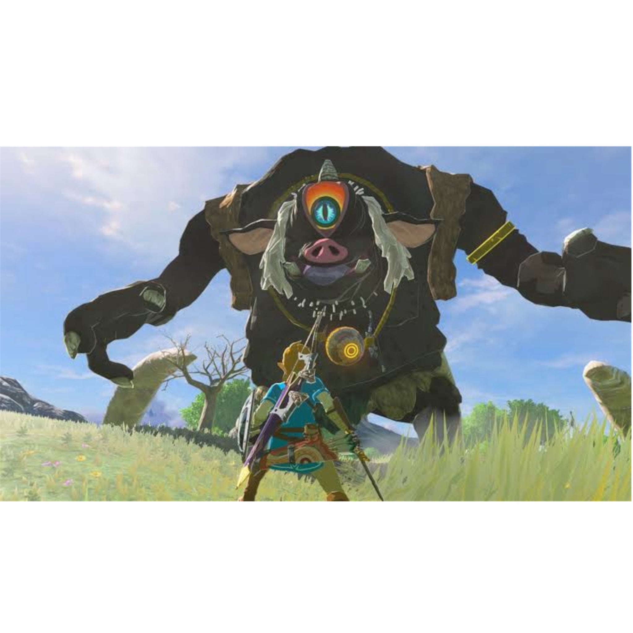 The Legends Of Zelda Bretah Of The Wild Switch 2 Juego Fisico