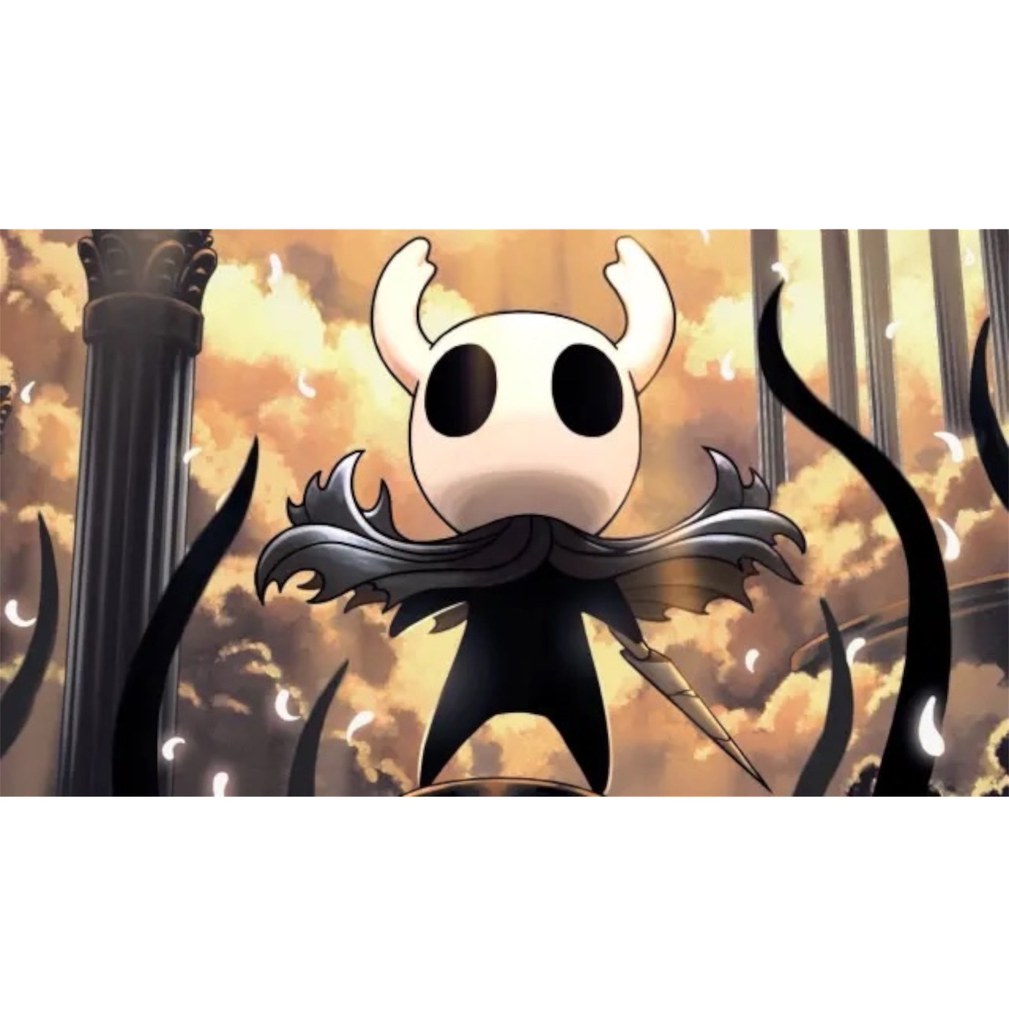 Hollow Knight Switch Juego Fisico